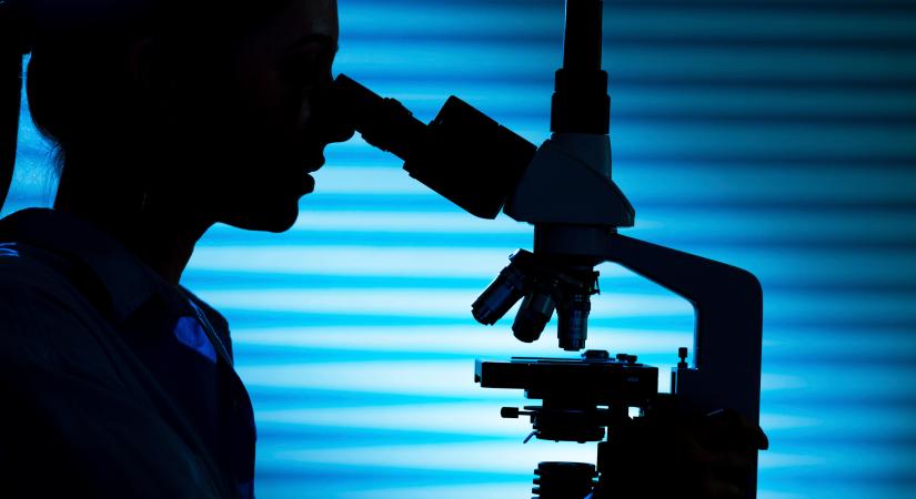 Ezek a különleges fényvezetők a bennük haladó fény fizikai nyomását kihasználva képesek a deformációra