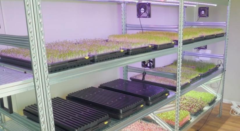 Rövid ciklus, fix vevőkör: ezért éri meg az új módszer