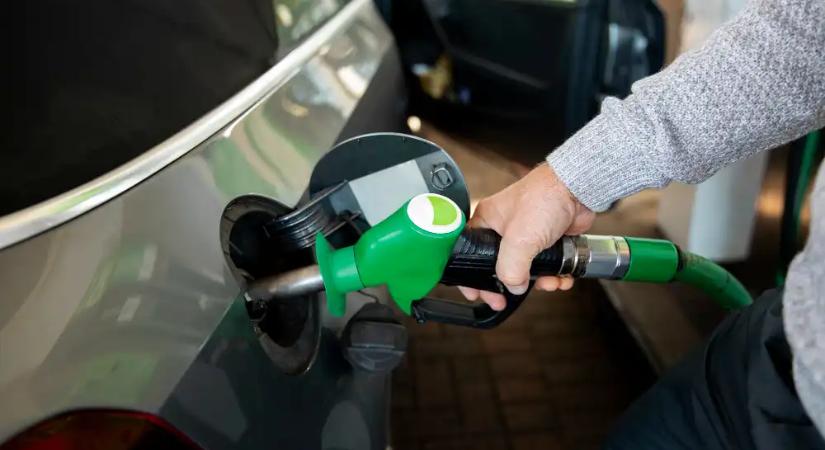 A kormány nemet mondott a kiskutak adójának mérséklésére