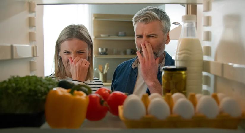 8 természetes módszer, amivel a legbüdösebb hűtőt is szagtalaníthatod