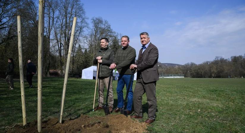 Nagyszabású zöldprogramot indított a Szerencsejáték Zrt.