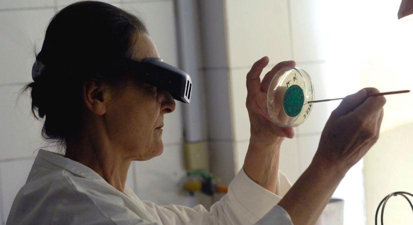 Sajnos megerősítették: egyszerre mutattak ki gennyes és savós agyhártyagyulladást Hajdú-Biharban