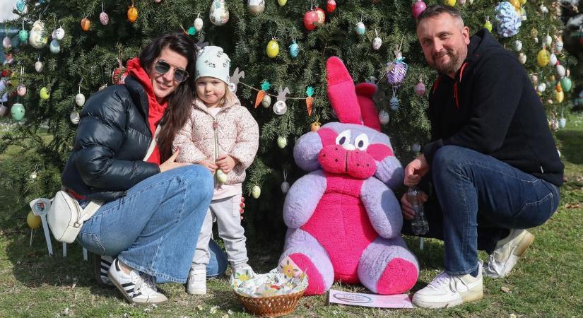 Óriási fotóválogatás, videó: még külföldről is az Almádi Tojásfa csodájára járnak