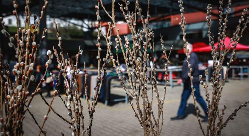Honnan is van a barka? Ez most akkor feljelentés lesz – így szerezd meg az ágakat, hogy a rendőr ne büntessen