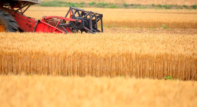 Május 1-től elindul a Mercosur megállapodás