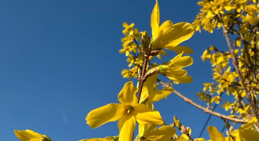 Fátyolfelhők szűrte napsütés után markáns lehűlés jön