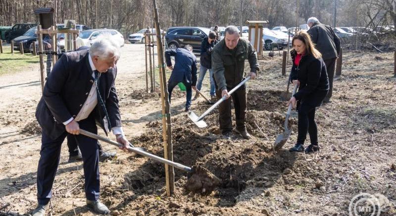 A hazai erdőgazdálkodás aktívan reagál a klímaváltozás kihívásaira