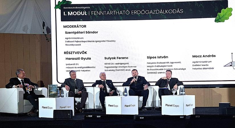 IKEA bútor és tűzifa: zavaros üzenetek a környezettudatosság körül