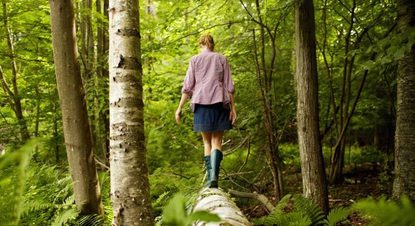 Gyógyító a levegő ezen a varázslatos kirándulóhelyen Magyarországon: ide érdemes elmenni