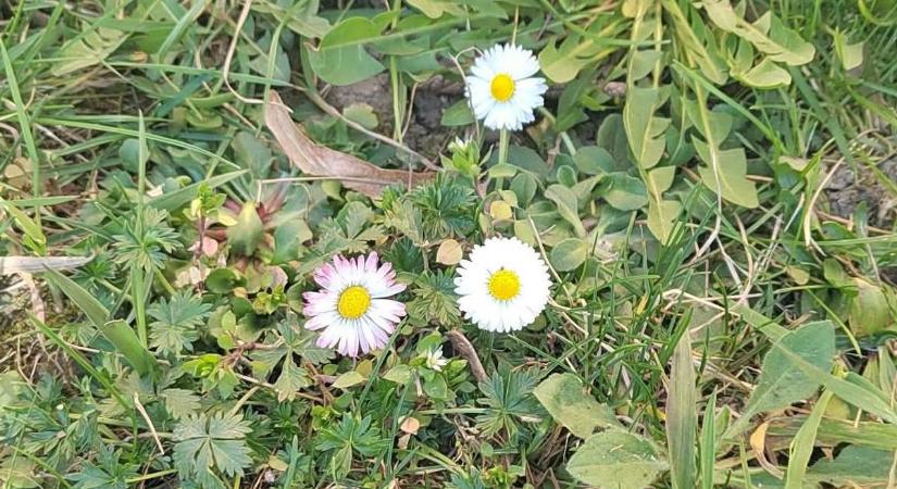 Nem minden az, aminek reggel látszik – meglepő fordulat jön az időjárásban