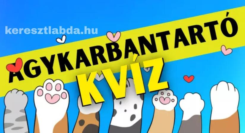 Napi agykarbantartó feladat: A fekete macska mindenkit becsap!