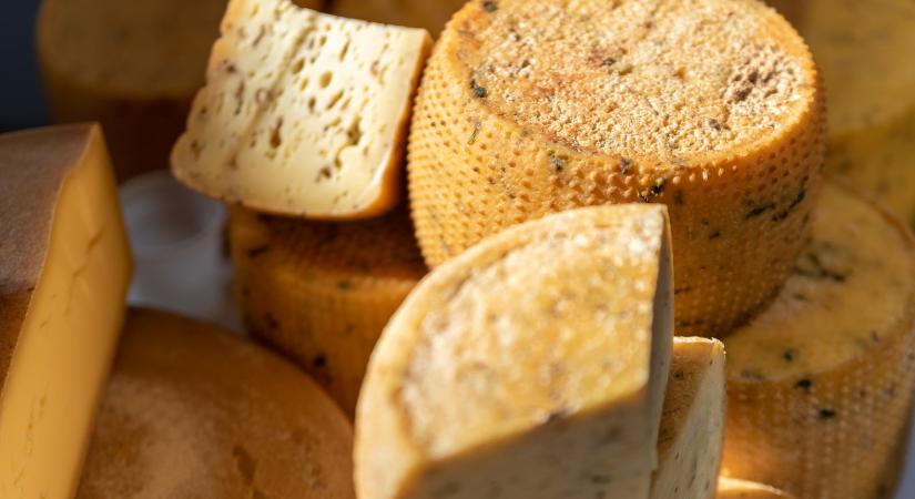 Hegyvidéki tejből prémium sajt – A sajtkészítés jövője Székelyföldön
