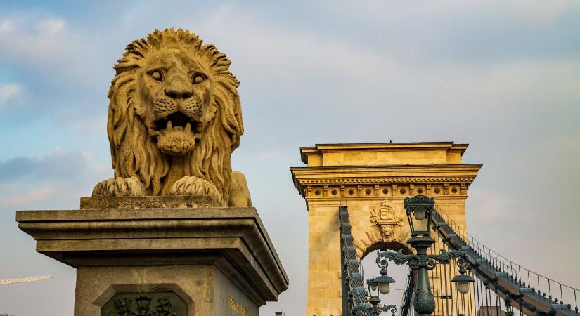 Példátlan, ami átúszott a Lánchíd alatt, Budapest erre nem volt felkészülve, ezrek kapták elő azonnal a kameráikat