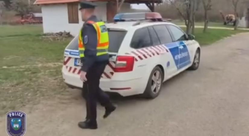 64 láb tűnt el nyomtalanul: haszonállatlopás miatt nyomoz a rendőrség (videó)