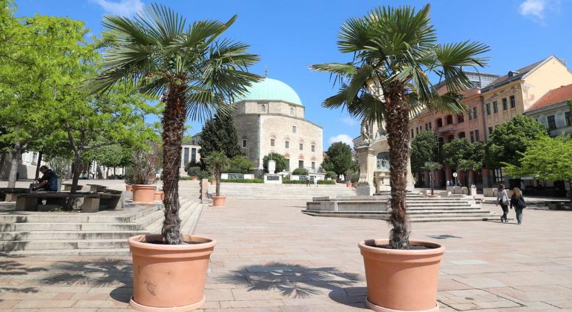 Berobban a tavasz: akár 20 fok is lehet Pécsen holnap