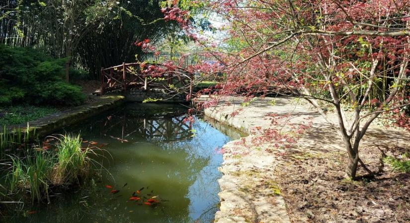 Természet, hagyomány, játék: különös húsvéti programmal készül a debreceni botanikus kert