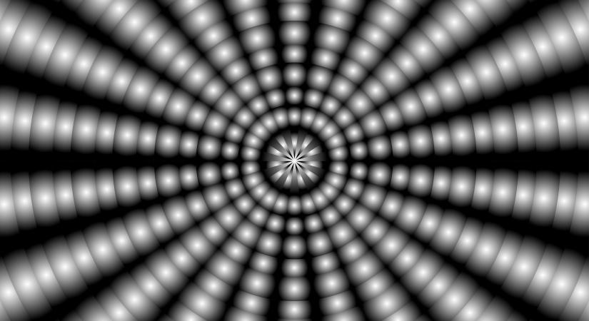 Ez az optikai illúzió szinte mindenkit összezavar: te kiszúrod benne az állatot?