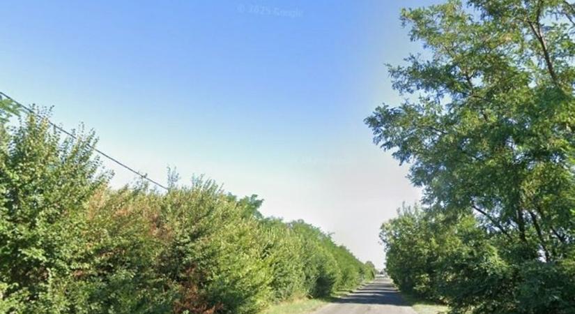 Hol vagyunk, a vadnyugaton? Elképesztő, mit kerülgettek az autósok Füzesabonynál – fotó