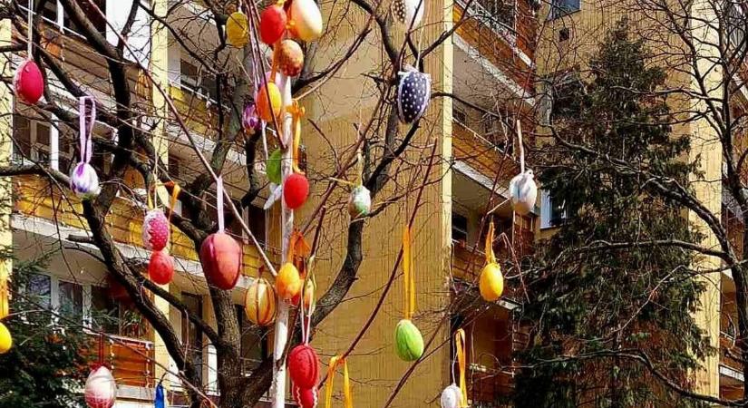 Több száz tojás díszíti a parkot – ünnepi díszbe öltözött Csongrád