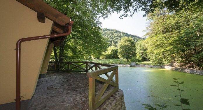 Rejtett tavak erdei panorámával: a Miklós-deák-völgy csendes világa