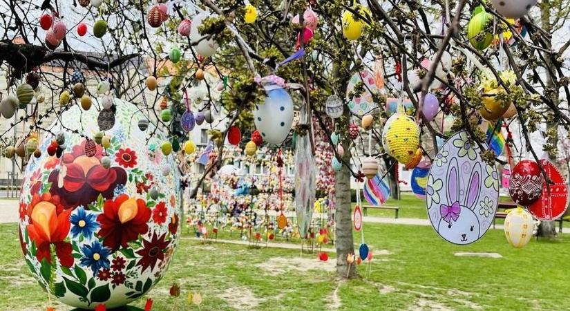 Tízezrek voltak kíváncsiak ezekre a videókra