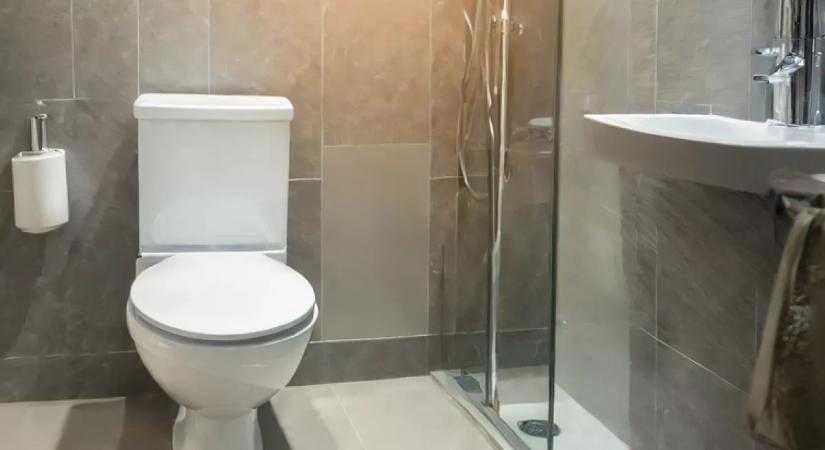 Ha ezt a filléres dolgot teszed a WC-be, örökre búcsút mondhatsz a kellemetlen szagoknak