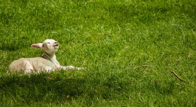 Napfényre vágysz? Ne várj tovább, menj ki a szabadba!