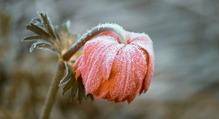 Egyhavi eső mossa el az országot, lesz, ahol hó is esik