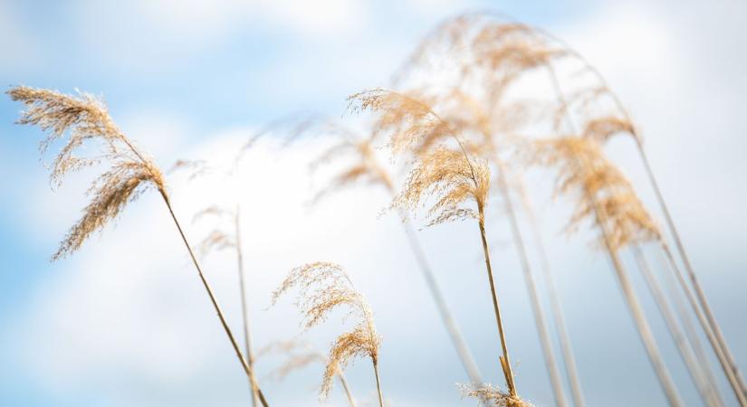 Tavaszias lesz az idő délelőtt, de nem marad így sokáig