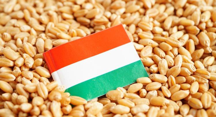 Új állami védjegy jön a magyar élelmiszerekre