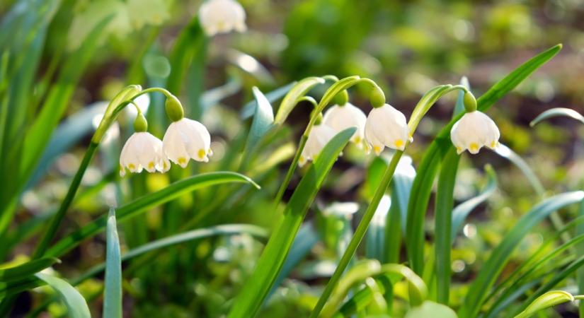 Mutatjuk, hol lesz ma szükséged esernyőre!