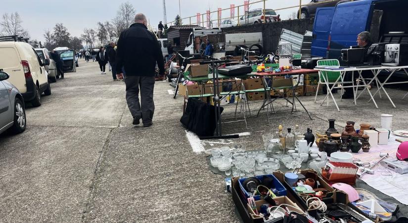 Kincsvadászat Zalaegerszegen: kígyóuborkát is találtunk 1990 forintért (galéria, videó)