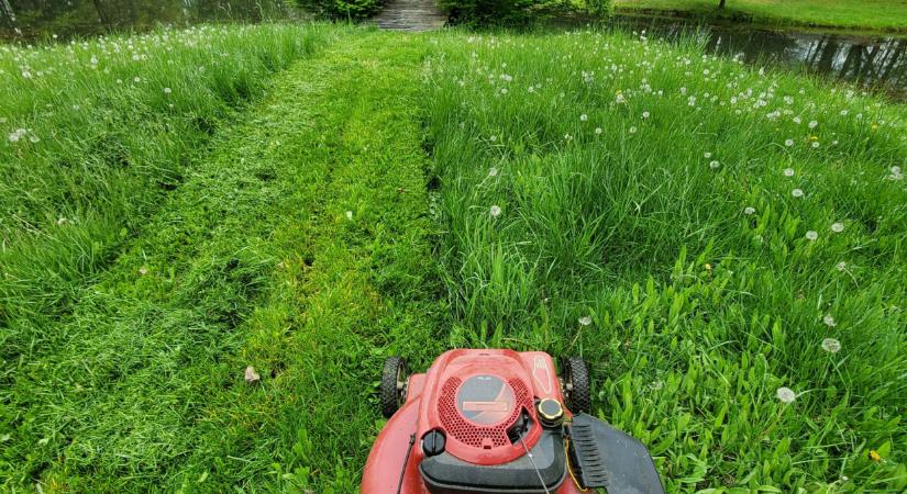 Súlyos hibát követ el rengeteg magyar az első tavaszi fűnyírásnál: a sztárkertész elárulta a tökéletes pázsit titkát