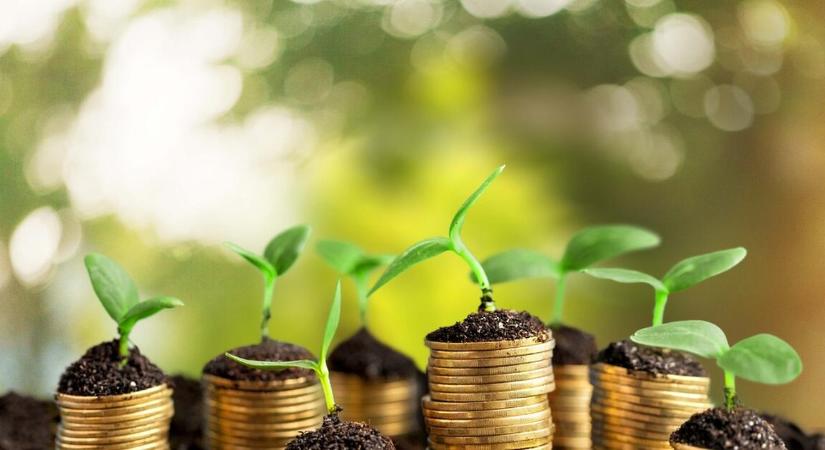 Megvették Trump szavait, ki is zöldült Amerika