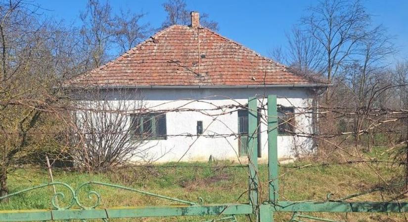 Lakhatás minimál pénzből! Bagóért viheted ezeket a szabolcsi házakat, ennél már csak az ingyen az olcsóbb – fotókkal