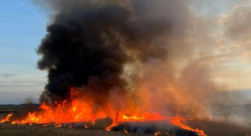 Ismét felcsaptak a lángok Hajdú-Bihar határában, fotókon a pusztítás!
