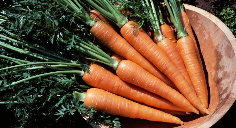 Ez nem semmi: ennyibe kerül most egy kiló sárgarépa az ukránoknál