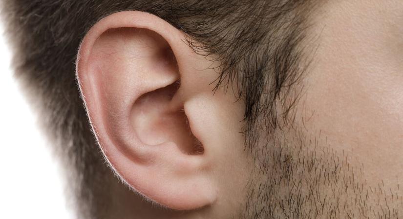 Vannak, akik képesek mozgatni a fülüket – ez a magyarázata