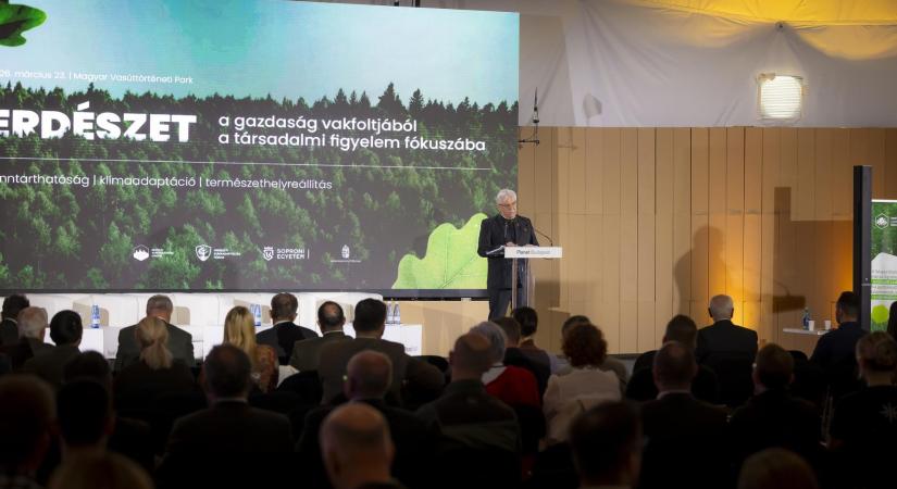 A hazai erdőgazdálkodás dacol a kihívással