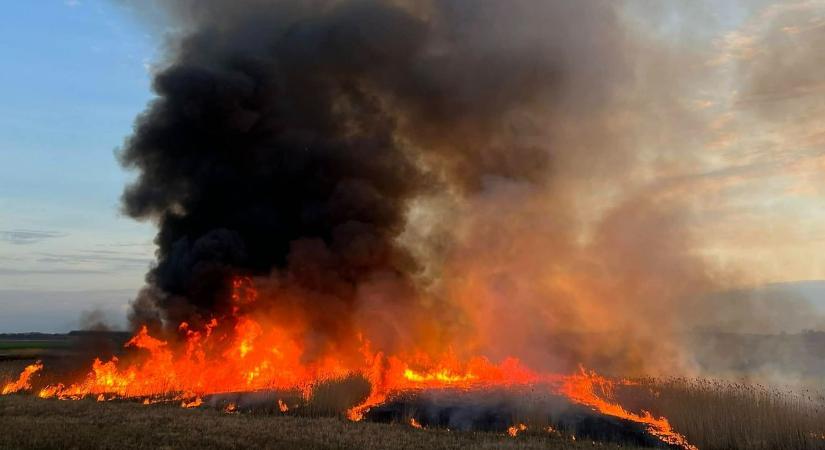 Ismét hatalmas tűz pusztított Tiszafüred közelében – videón és fotókon is mutatjuk az éjjeli küzdelmet