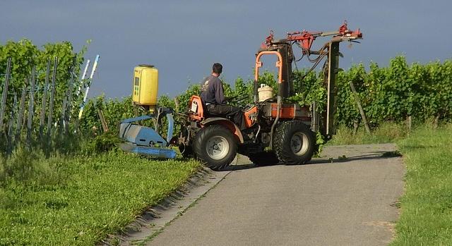 Helyi lehetőségek, tiszta döntések: merre induljon, aki Szekszárdon keres munkát?