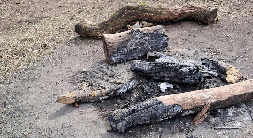 Nem sokon múlt: majdnem erdőtüzet okoztak a Normafán