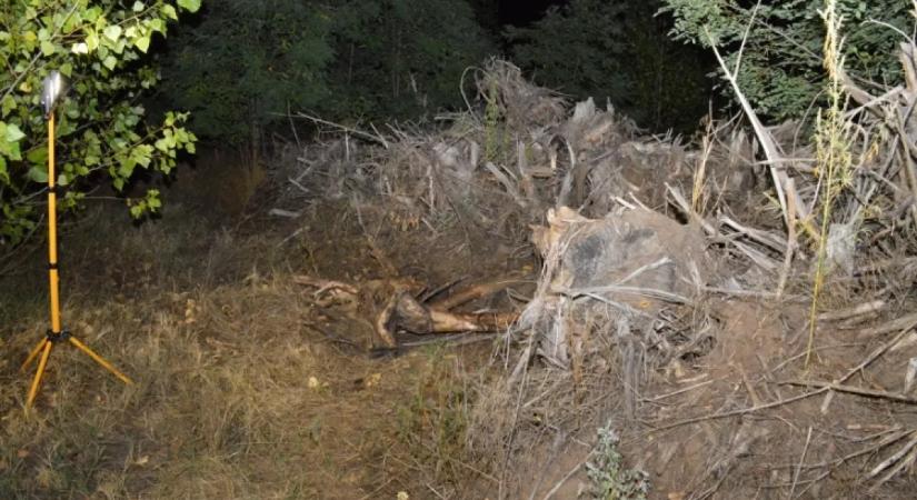 Azt hitték, Romániába utazott a tiszakécskei férfi: ami ezután kiderült, az borzalom