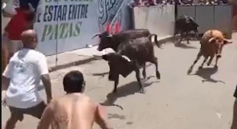 Sokkoló felvétel: a bika felöklelte a férfit, vér borította el az utcát – 18!