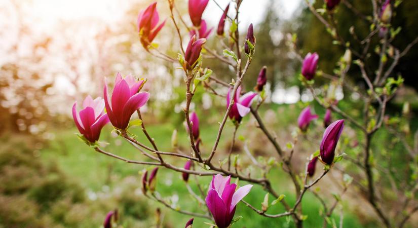 Időjárás: sarkvidéki hidegbetörés közelít, mutatjuk, hol lép be az országba