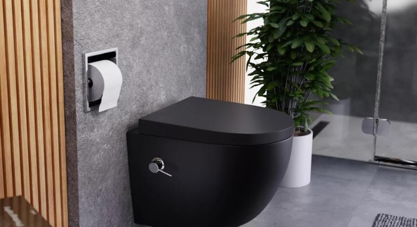 Válaszd ki a tökéletes WC-t a fürdőszobádba