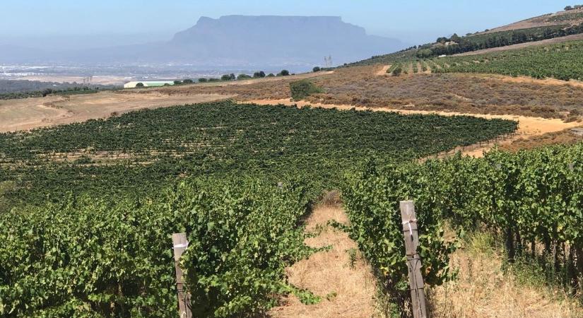 A borkészítés ikonjai kerülnek napirendre – a miskolciak is ott lesznek