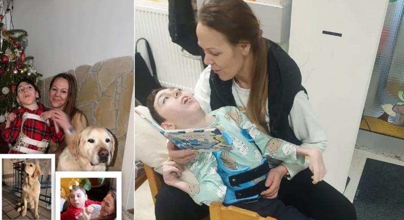 „Hálásan köszönök minden támogatást, biztatást és segítséget” – Oxigénhiányos Levi és anyukája egyelőre megmenekültek, nem kerültek utcára