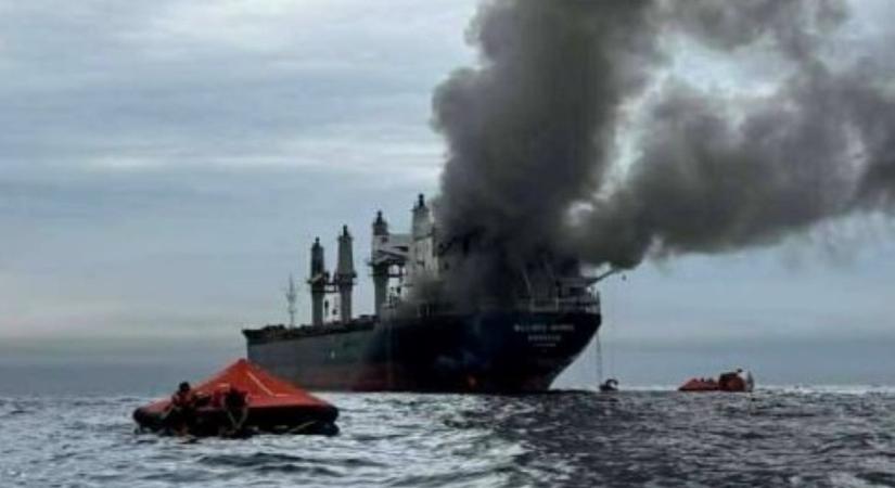 Oeconomus: ezért stabilabb a vezetékes kőolajellátás