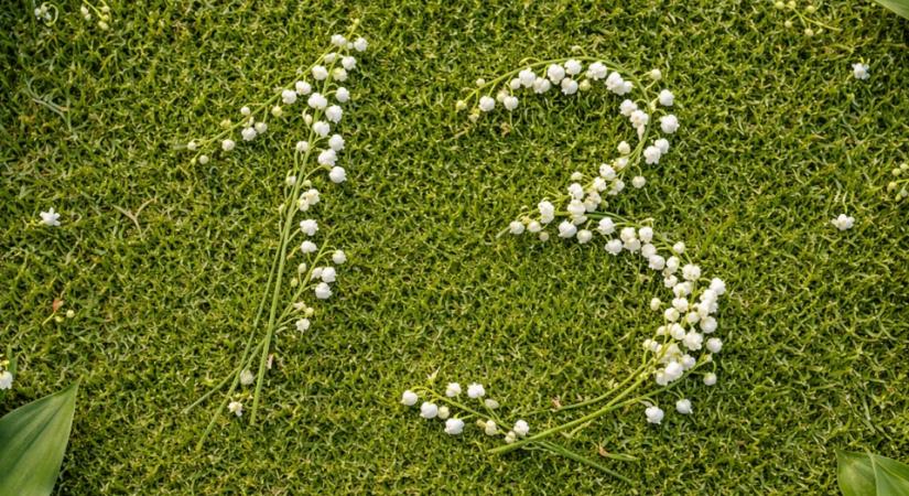 Hol bukkanhatnak fel a NAV revizorai a 13. héten?